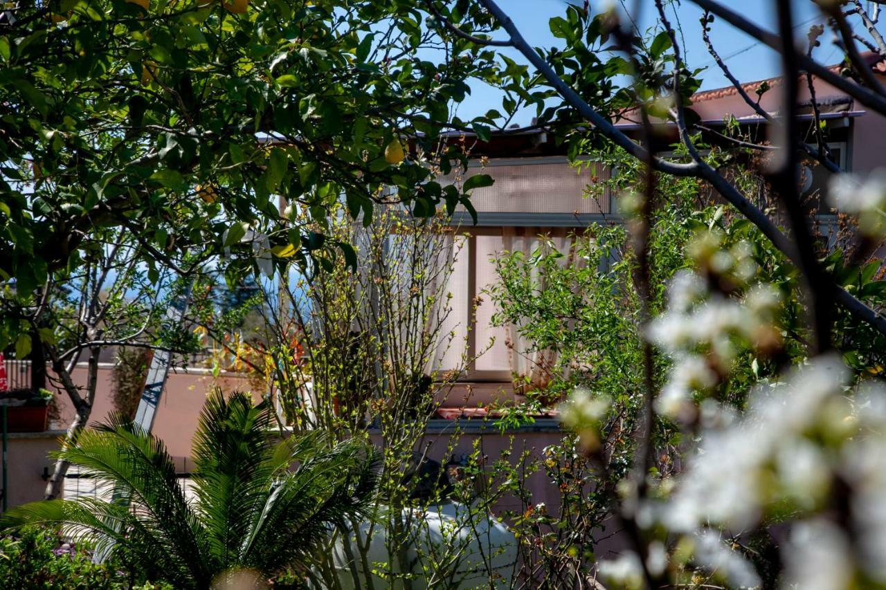 Villa Panoramica Terracina Rum bild